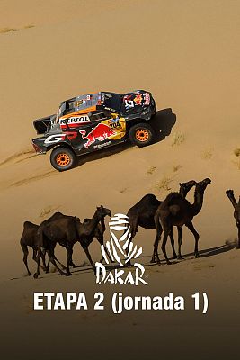 Etapa 2 [1 jornada]: Bisha > Bisha (1057 Kms) - Resumen de la Jornada