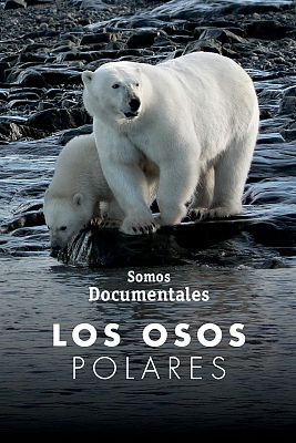 Somos Documentales - Los osos polares