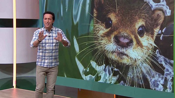 Aquí la Tierra - Aquí la Tierra - 07/01/25