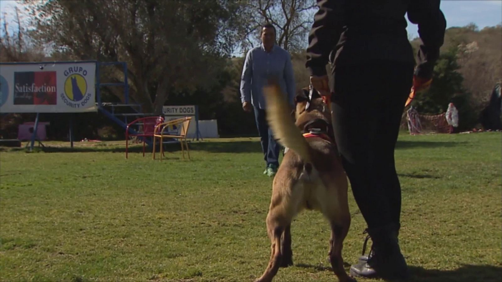 Objetivo Igualdad-Perros para víctimas de violencia de género