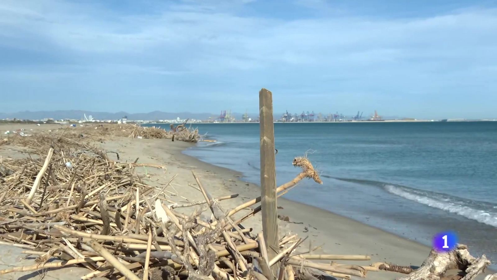 L'Informatiu de la Comunitat Valenciana 1 - 08/01/25 | Ver