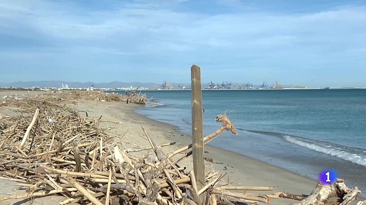 L'informatiu - Comunitat Valenciana - L'Informatiu de la Comunitat Valenciana 1 - 08/01/25