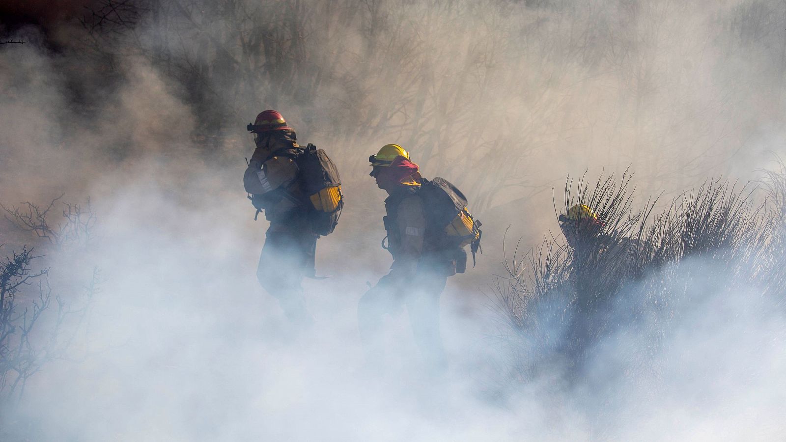 Telediario matinal en cuatro minutos - 10/01/2025 | Ver