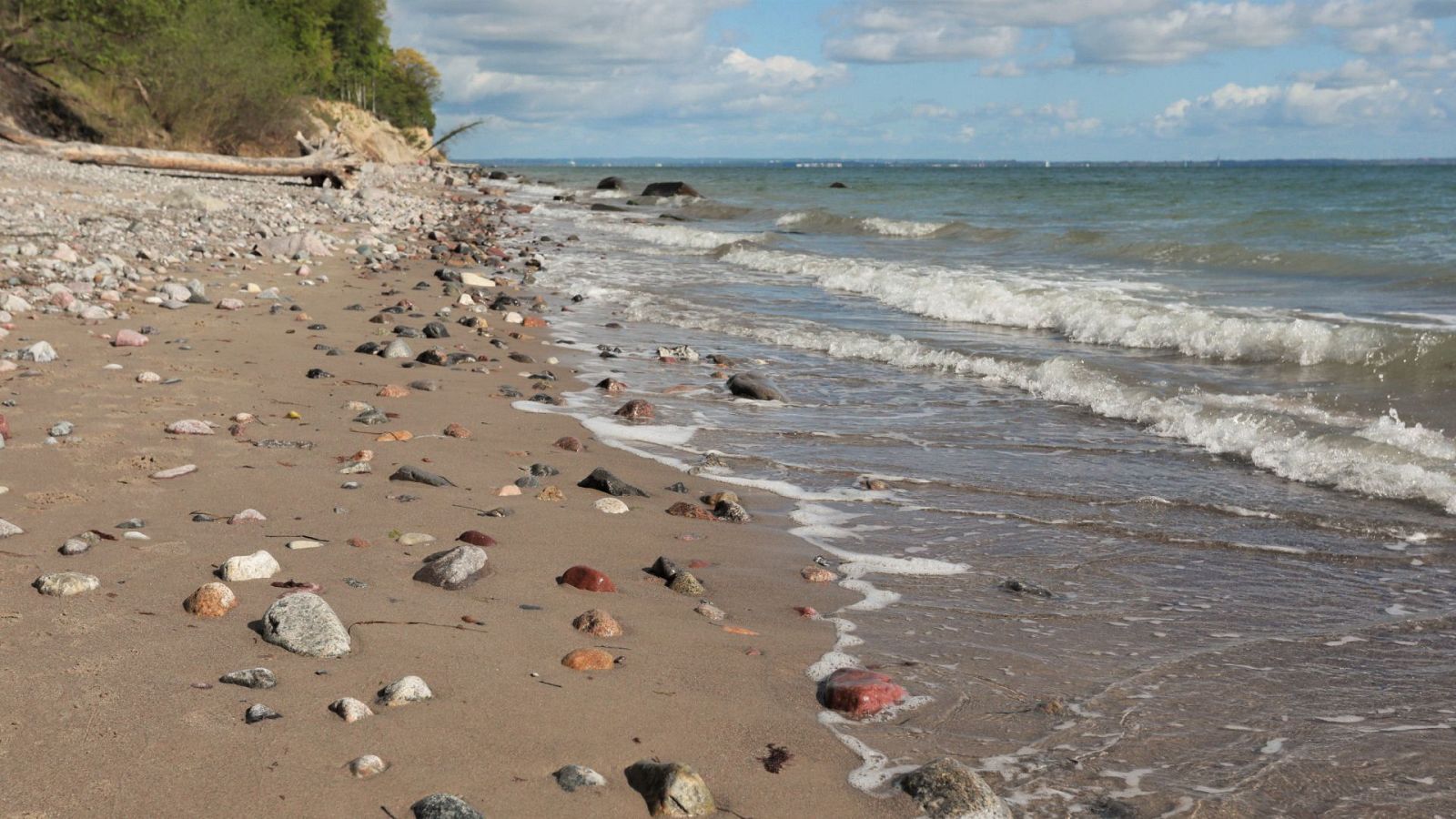 Belleza septentrional - Episodio 1: La vida en la costa - ver ahora