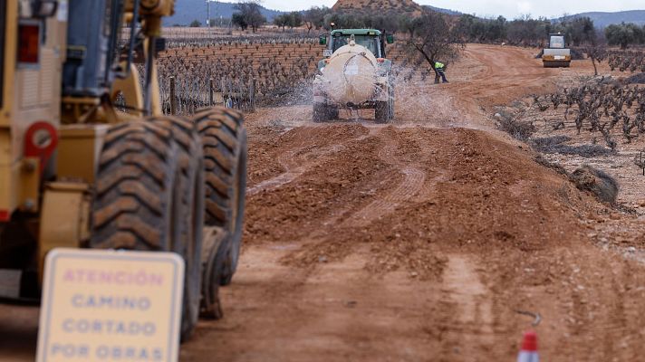 Más de 3.000 parcelas presentan daños por la dana y los agricultores temen perder la siguiente cosecha