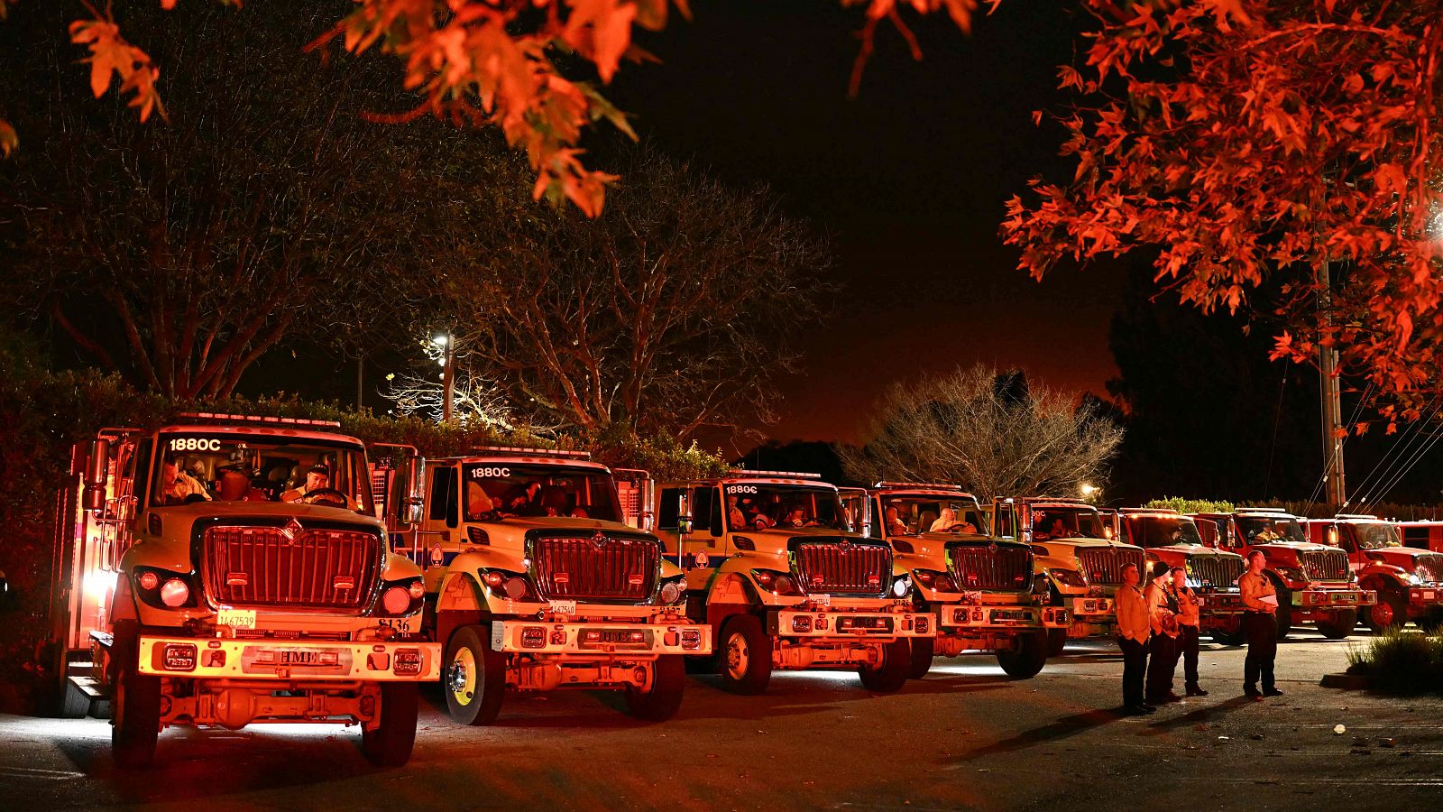 Telediario matinal en cuatro minutos - 11/01/2025 | Ver