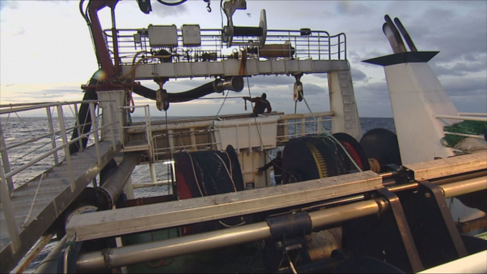 Agrosfera - 11/01/25 - ver ahora