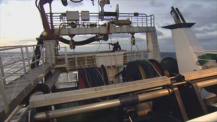 Agrosfera - Agrosfera - 11/01/25