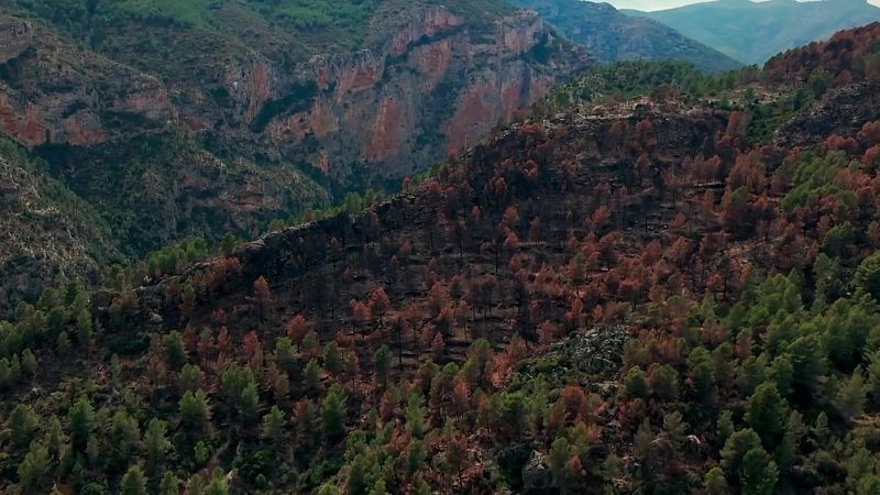 La vuelta a la Espaa digital - Episodio 1: Pirotechnia. Comunidad Valenciana - ver ahora