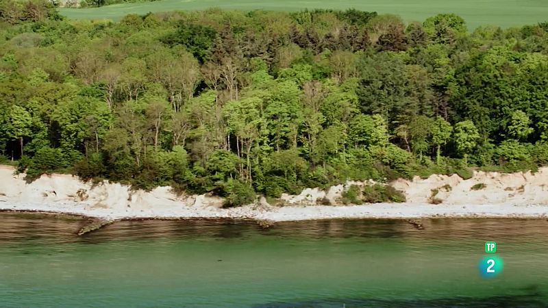 Grans Documentals - Bellesa Septentrional: La vida a la costa - Veure Ara