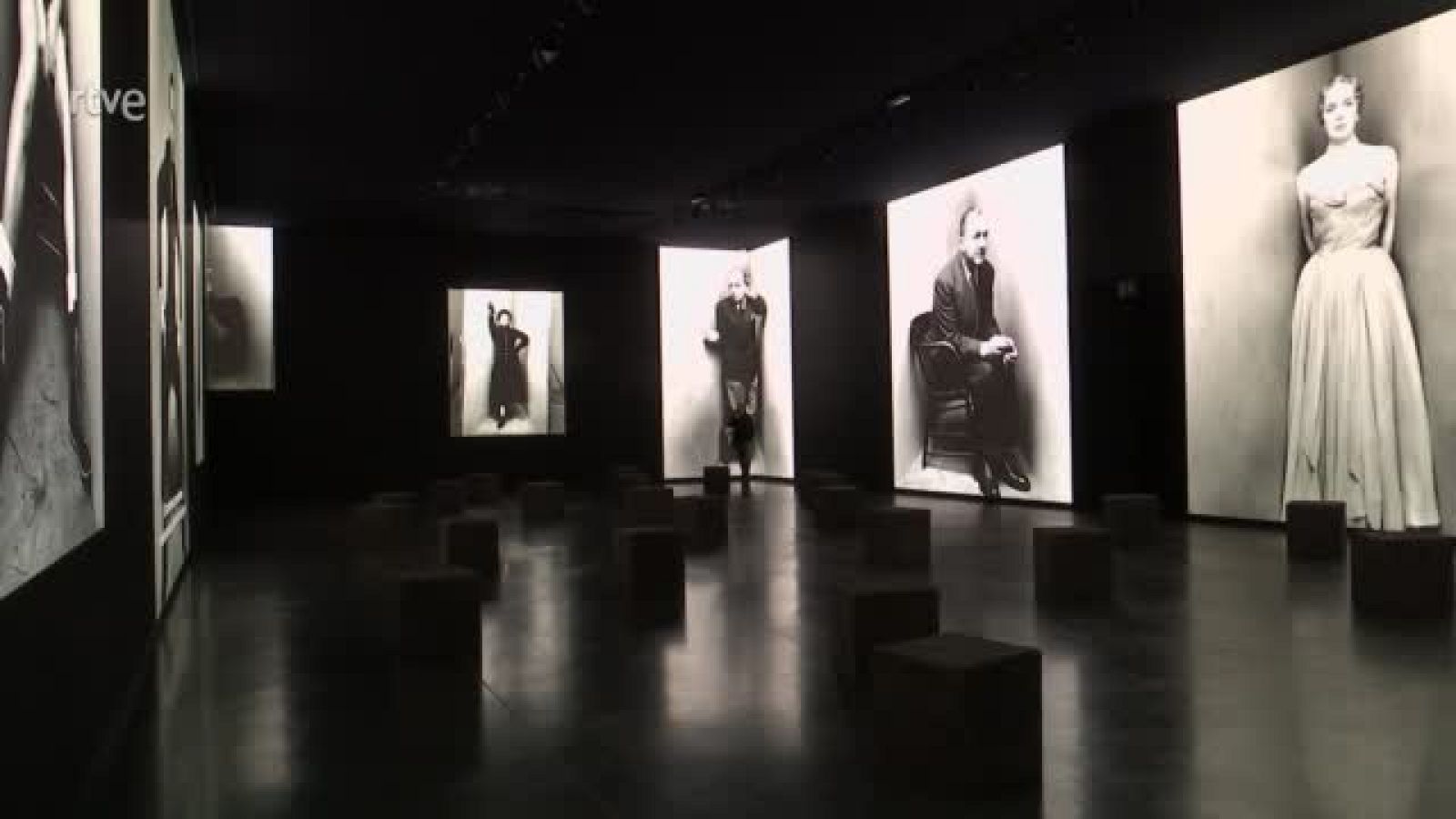 Exposición Irving Penn - Atención obras | Ver