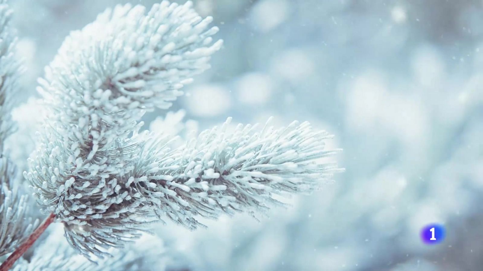 El tiempo en Galicia 11-01-2025 | Ver