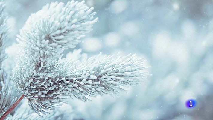 Telexornal - Galicia - El tiempo en Galicia 11-01-2025