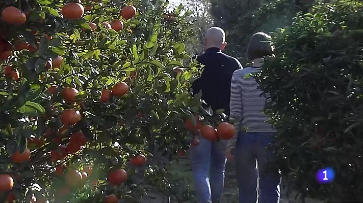 L'informatiu - Comunitat Valenciana - L'Informatiu de la Comunitat Valenciana 2 - 13/01/25