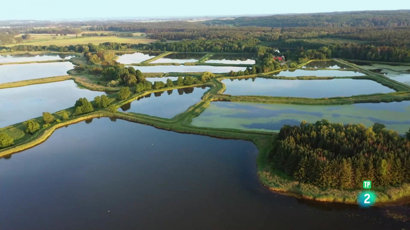 Grans documentals - Bellesa septentrional: la màgia dels boscos i erms - Veure Ara