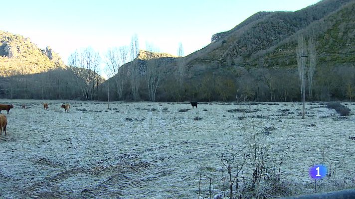 Informativo Telerioja - Informativo Telerioja 2 - 14-01-2025