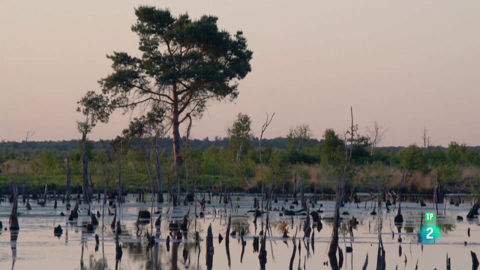 Bellesa septentrional: aigües poc profundes: on torna la natura