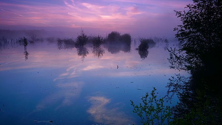 Aguas superficiales. Donde siempre regresa la naturaleza