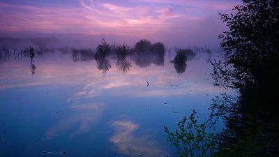 Belleza septentrional - Episodio 3: Aguas superficiales. Donde siempre regresa la naturaleza - ver ahora