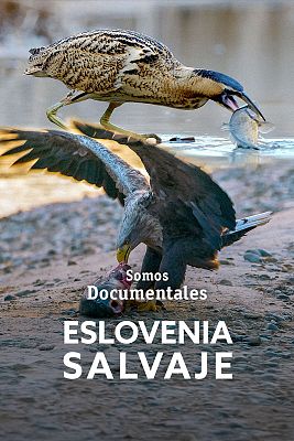 Eslovenia salvaje