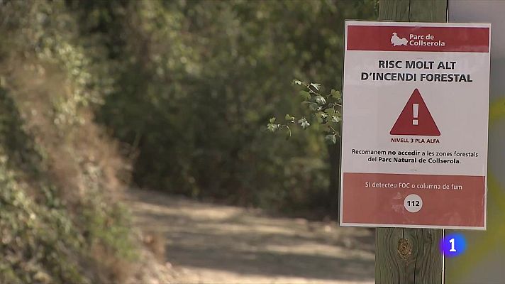 L'Informatiu - Com es poden frenar els grans incendis? La proposta del CREAF