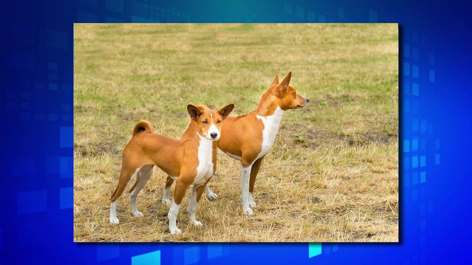 Saber y ganar - 16/01/25 - ver ahora