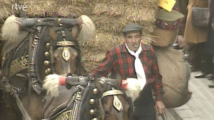 Impactes - Animals beneïts