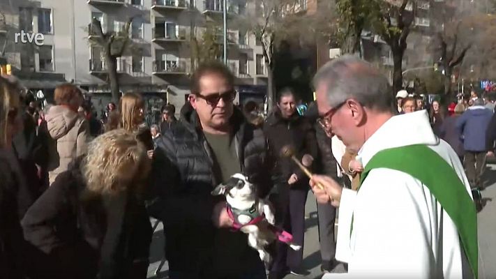 Sant Andreu del Palomar celebra 96 anys dels Tres Tombs