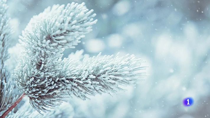 Telexornal - Galicia - El tiempo en Galicia 17-01-2025