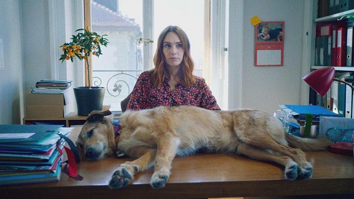 Días de cine - Días de cine: El juicio del perro