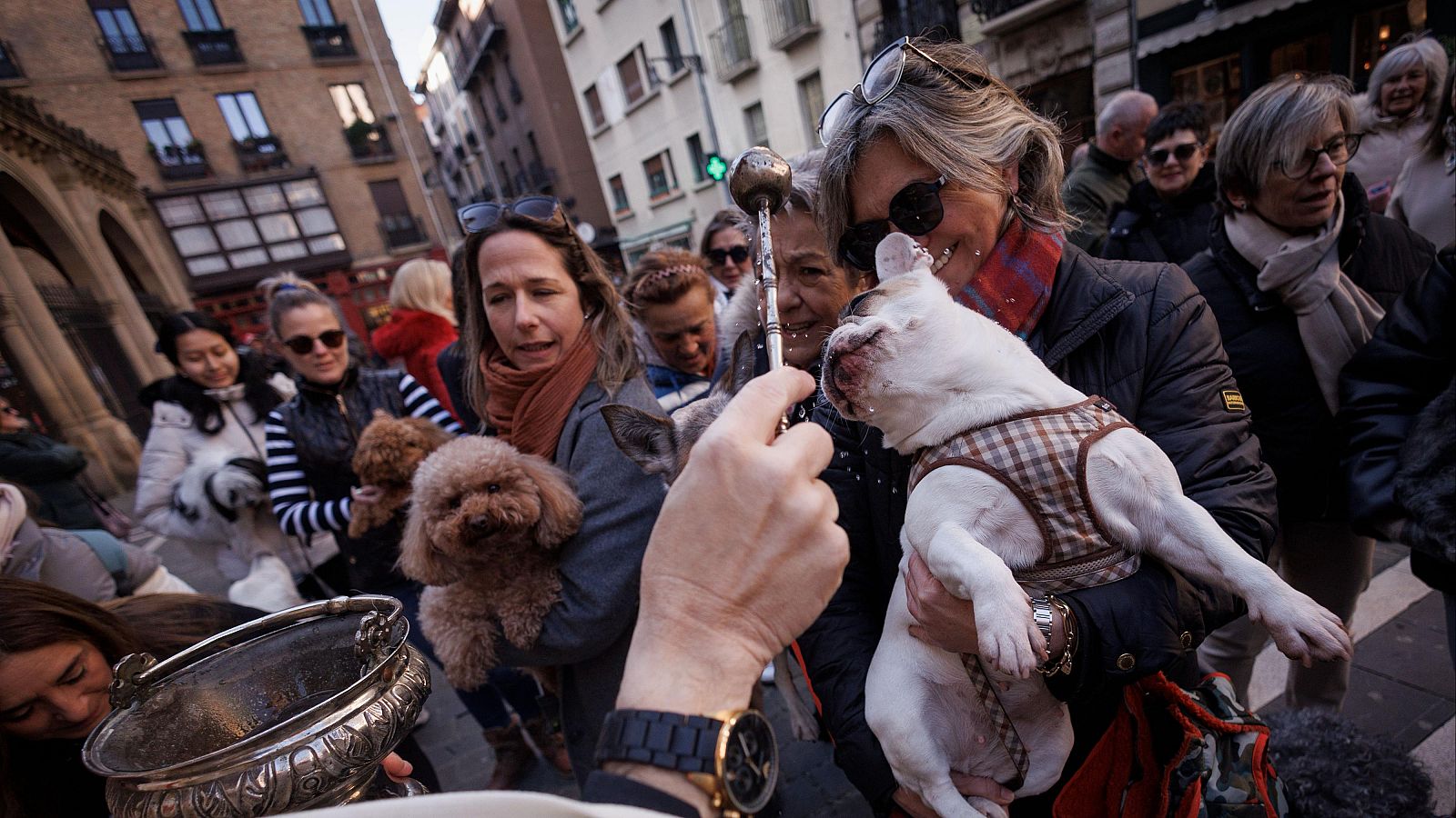 Miles de personas celebran San Antón, el patrón de los animales