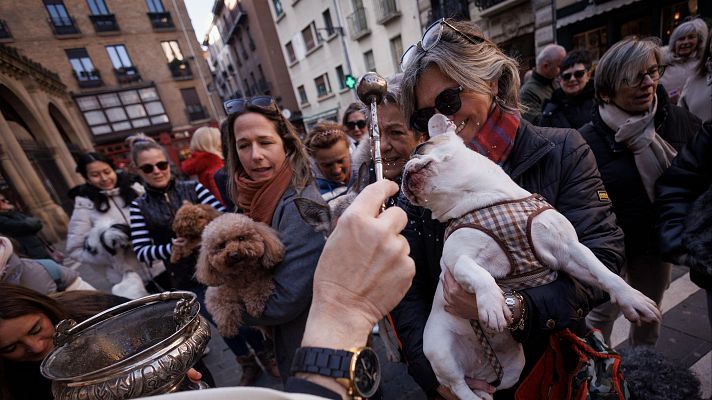 Telediario 1 - Miles de personas celebran San Antón, el patrón de los animales