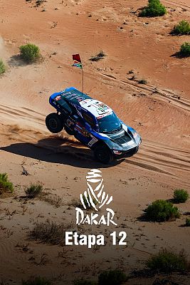 Etapa 12: Shubaytah > Shubaytah (205 km) - Resumen de la Jornada