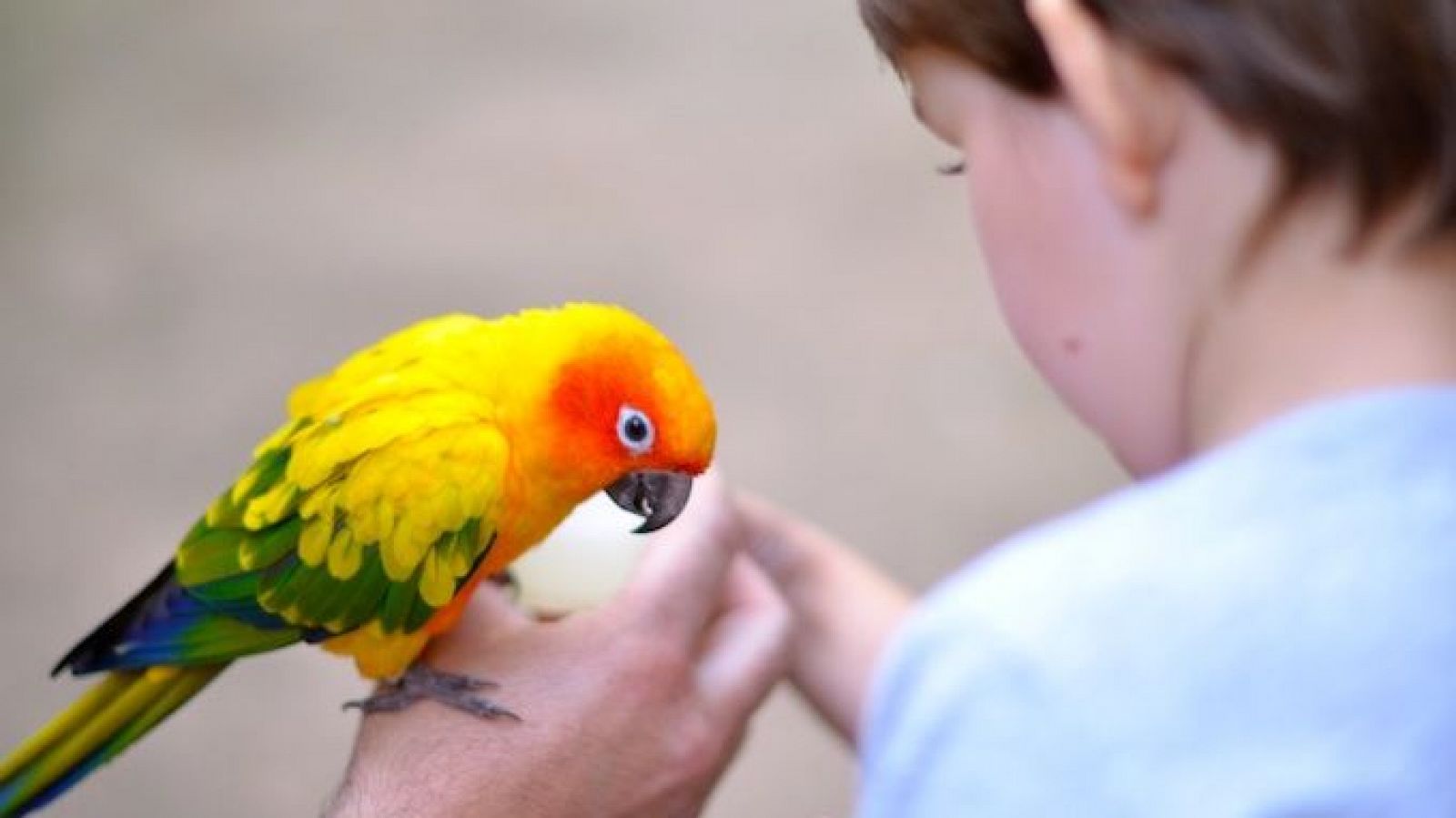 Para todos La 2 - 18/01/25 - ver ahora