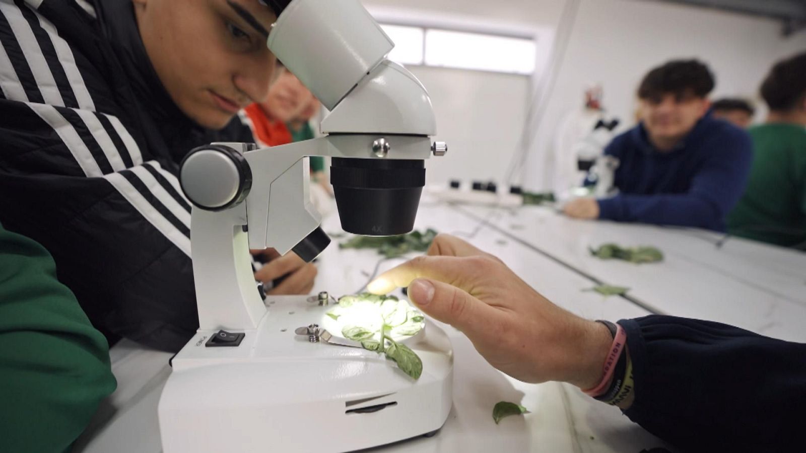 Yo soy de formación profesional - Andalucía y Melilla - ver ahora