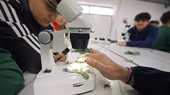 Yo soy de Formación Profesional - Andalucía y Melilla