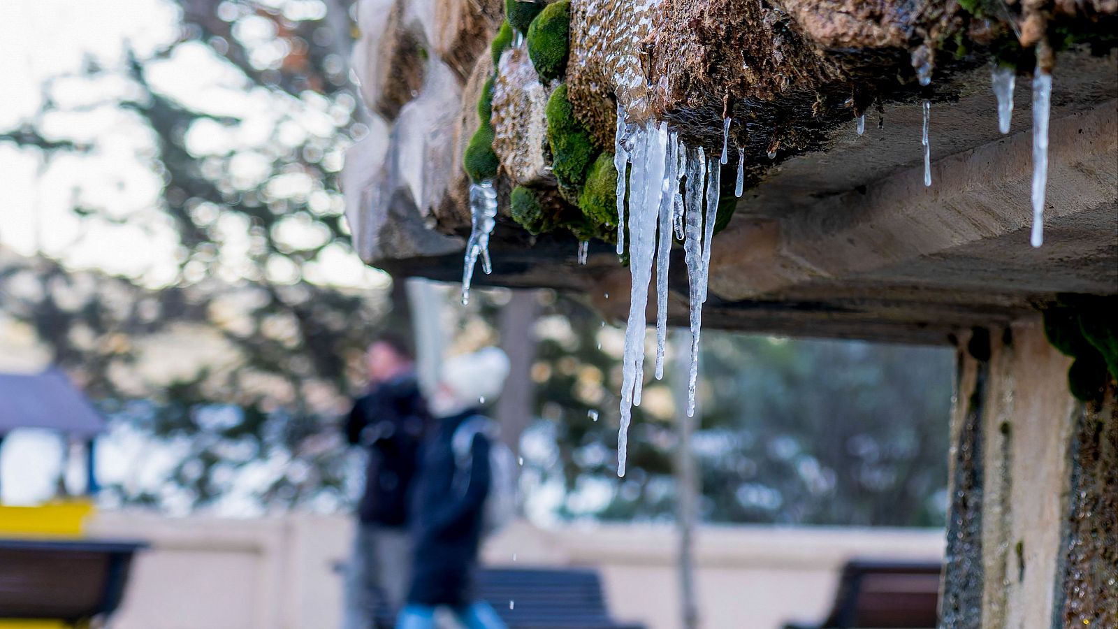 Domingo con nevadas en la cordillera cantábrica y lluvias en Mallorca