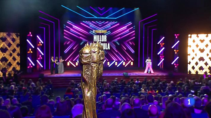 L'Informatiu - Els Gaudí premien un any excepcional per al cinema català
