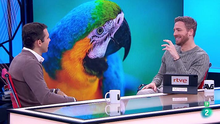 La aventura del Saber - Tomás Palomares. El abandono de mascotas