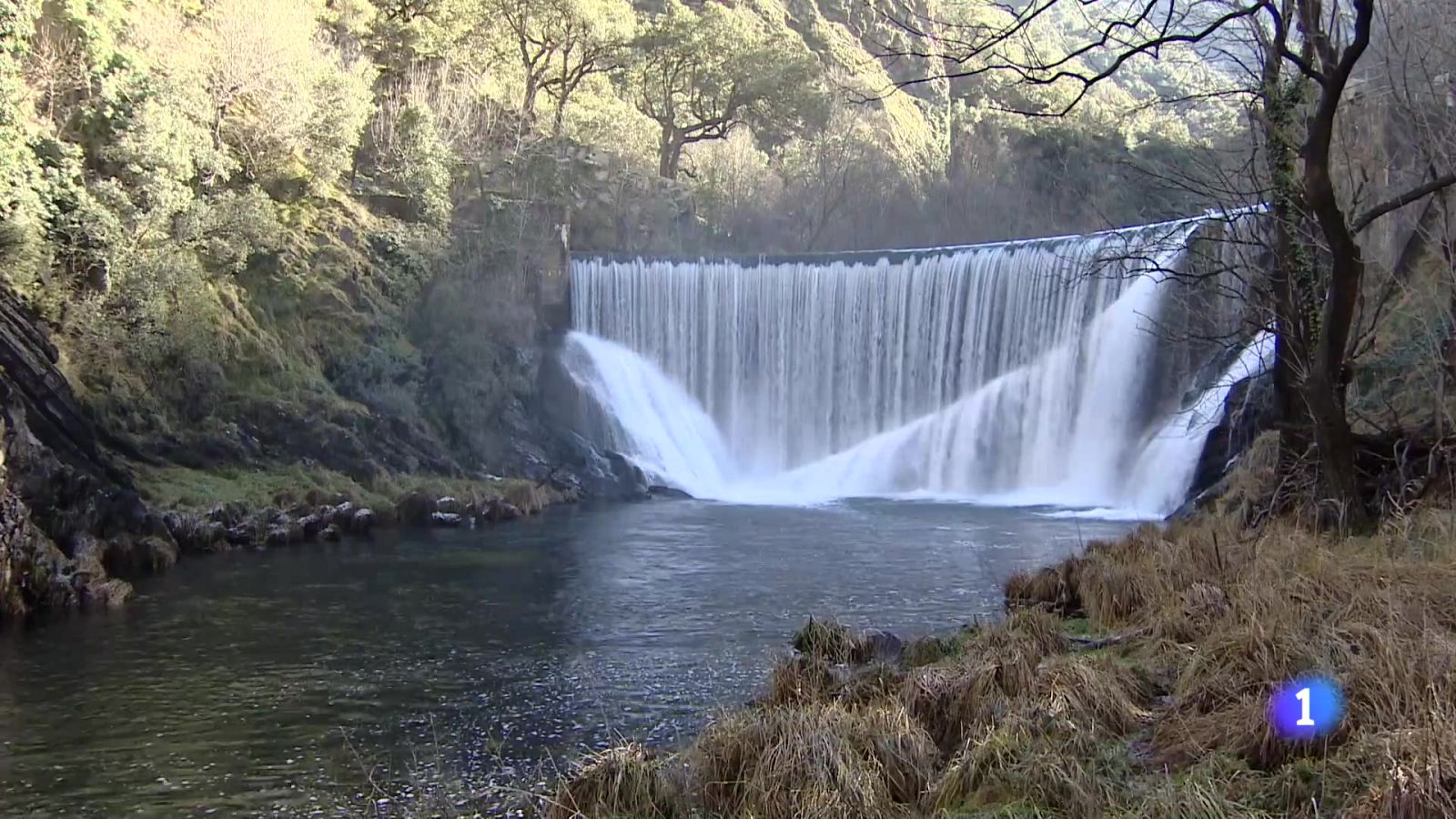 Informativo Telerioja  - 20/01/25 - Ver ahora | Ver