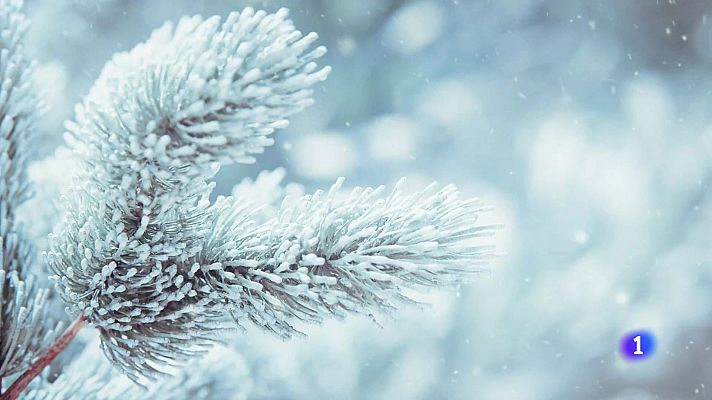 Telexornal - Galicia - El tiempo en Galicia    20-01-2025