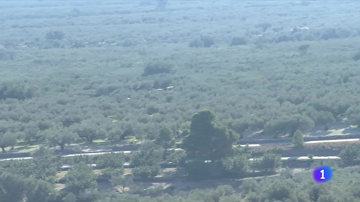 Pagesos de les Terres de l'Ebre, preocupats pels robatoris al camp