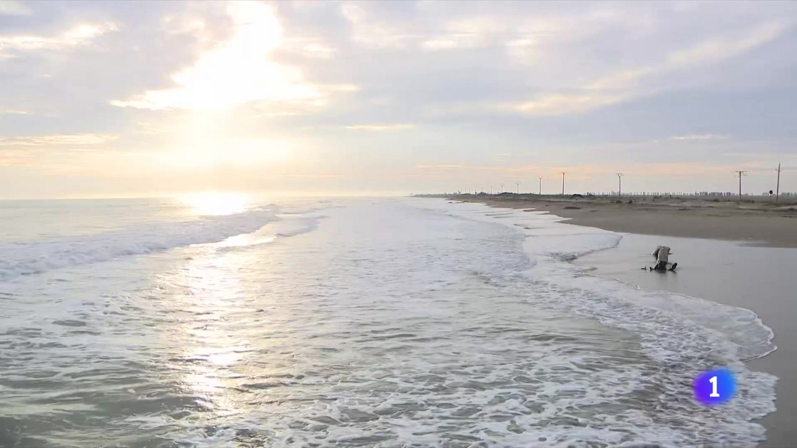 El Delta de l'Ebre reclama accions concretes per evitar la regressió - L'Informatiu | Veure