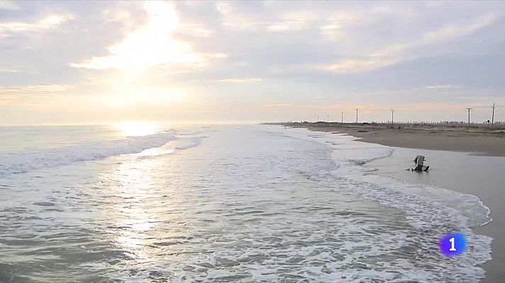 L'Informatiu - El Delta de l'Ebre reclama accions concretes per evitar la regressió
