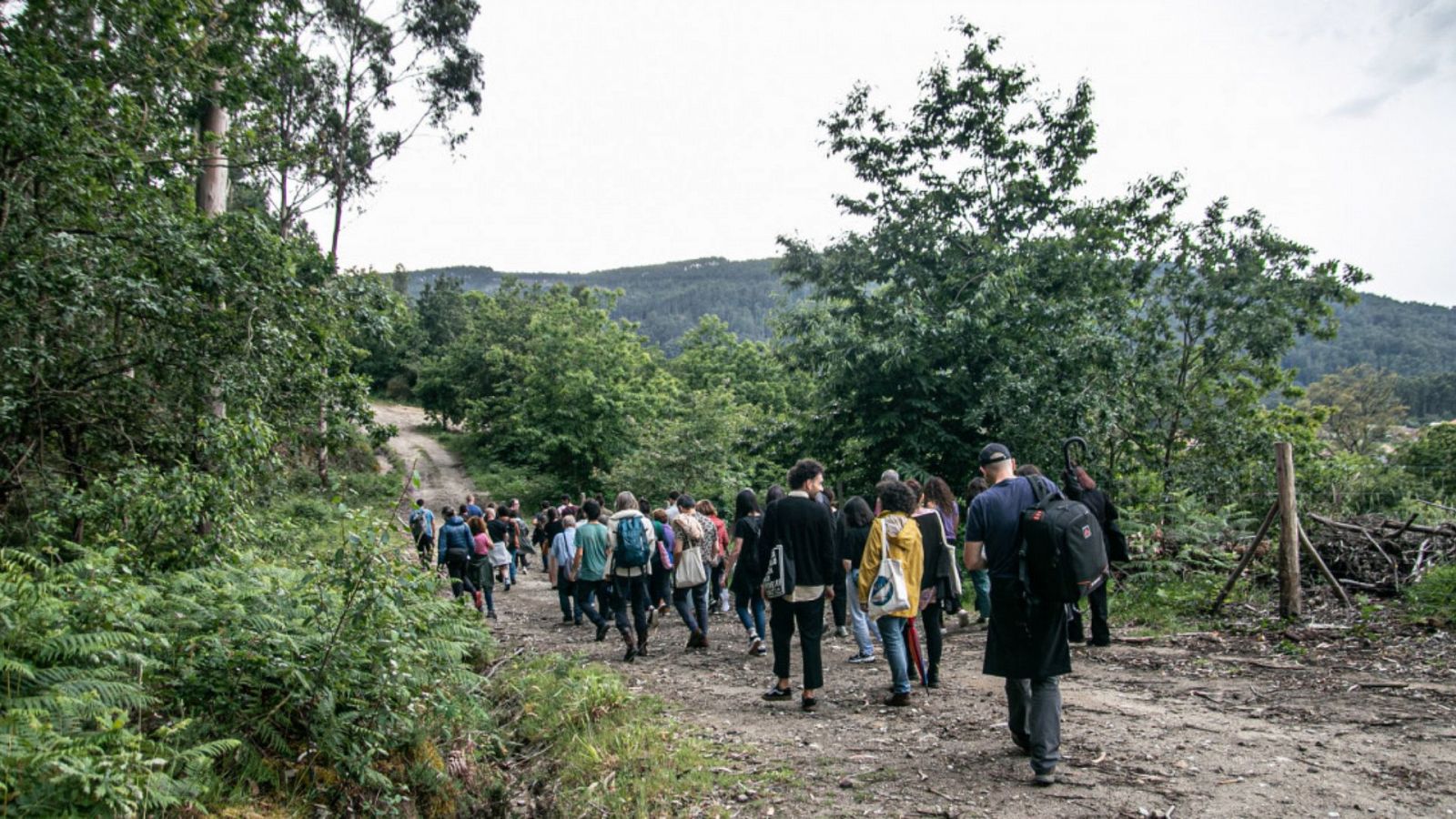Metrópolis - Concomitentes - ver ahora