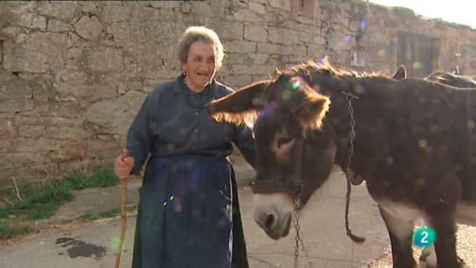 Agrosfera - 05/01/13  - Ver ahora