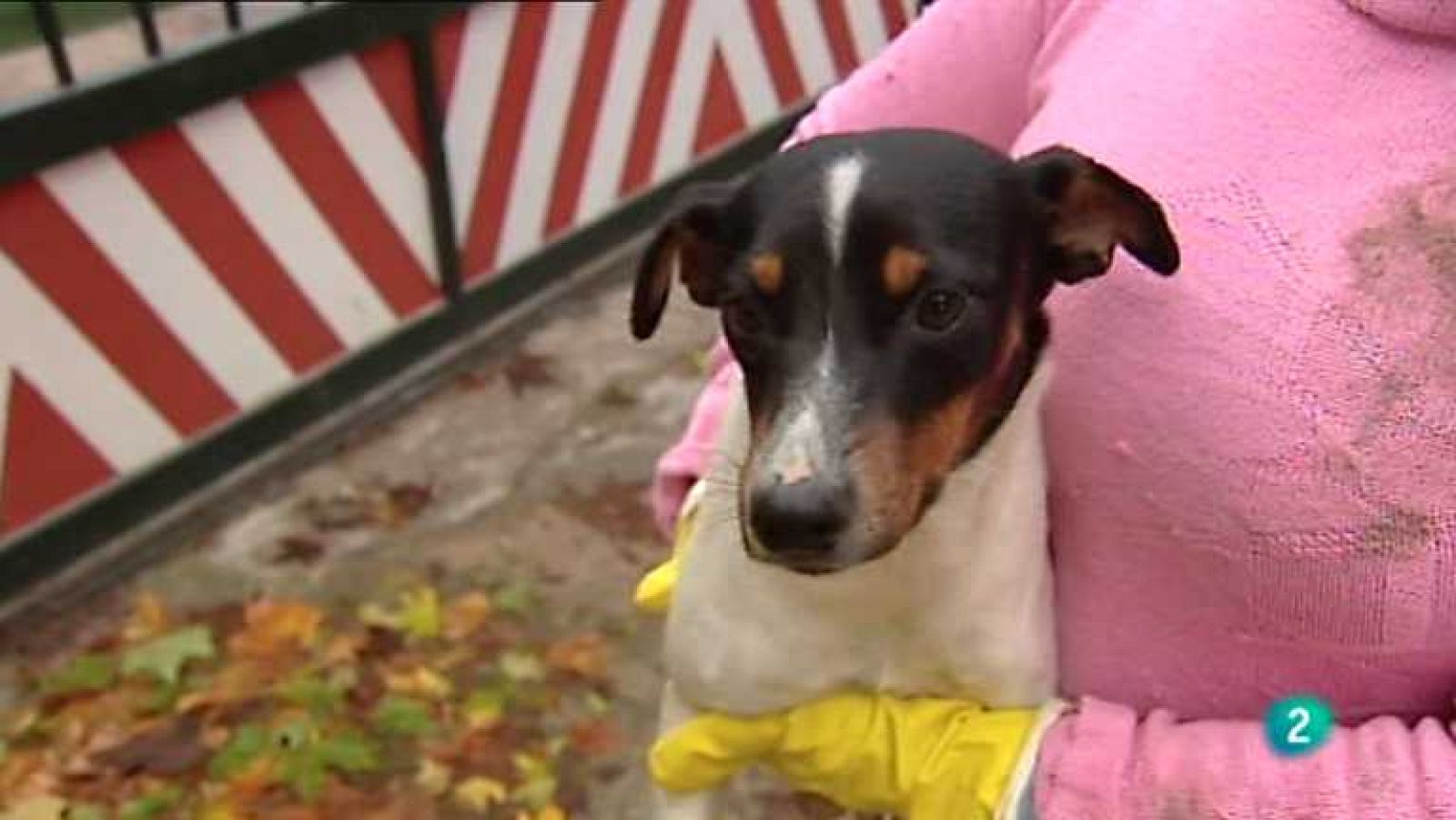 España en comunidad - 05/01/13  - Ver ahora