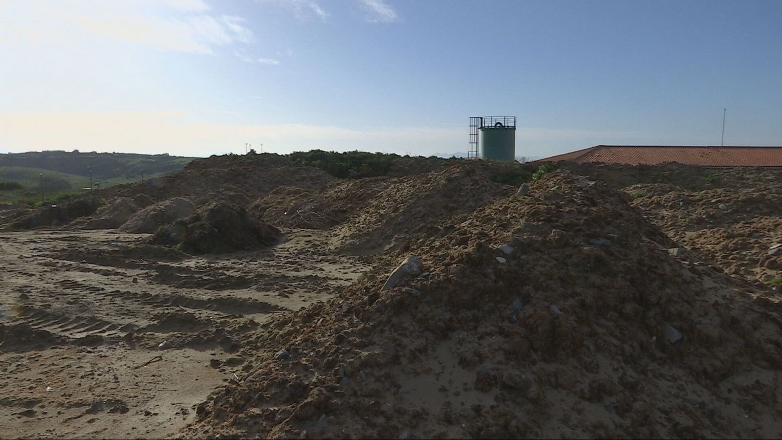 El Ayuntamiento de Tarifa pide ayuda a la Junta para gestionar las algas que invanden sus playas