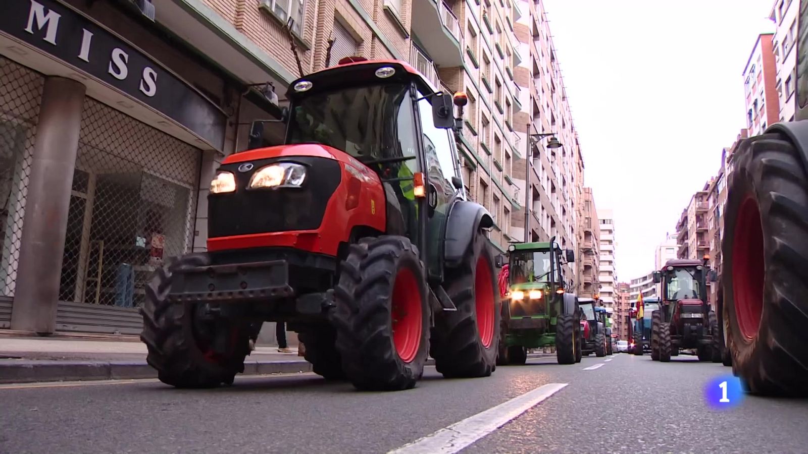 Informativo Telerioja 2 - 22-01-2025 - Informativo Telerioja | Ver