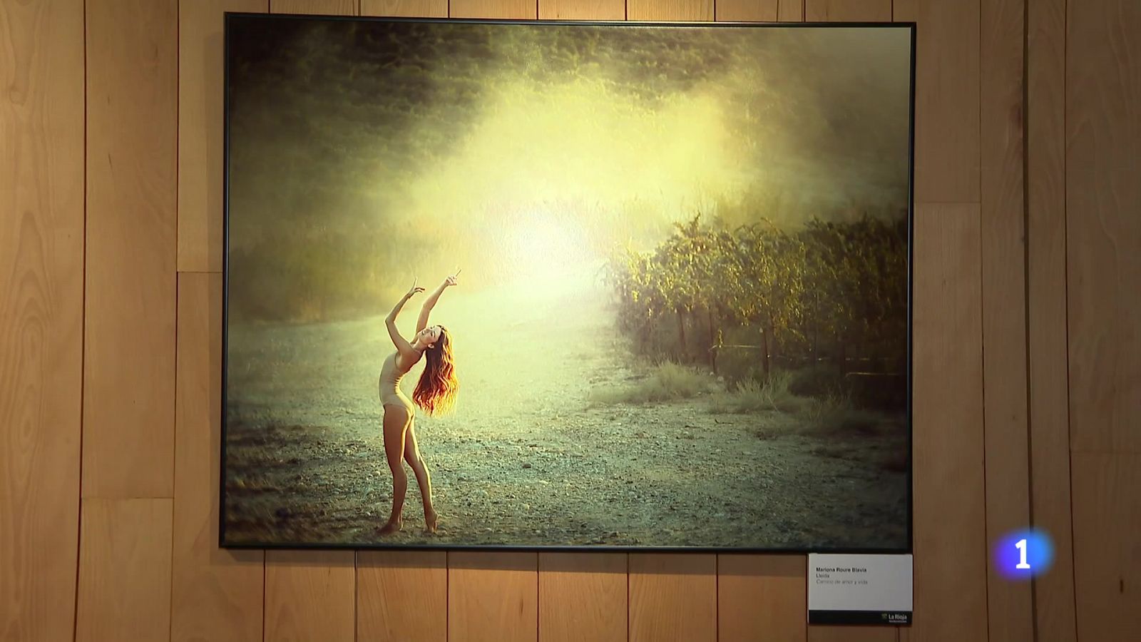 Informativo Telerioja 2 - 23-01-2025 - Informativo Telerioja | Ver